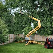 Leaf Removal in Caoncito, NM